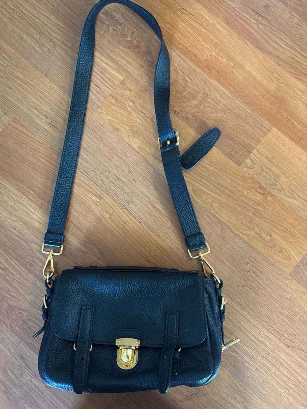 Prada Black Leather Crossbody with Gold Hardware